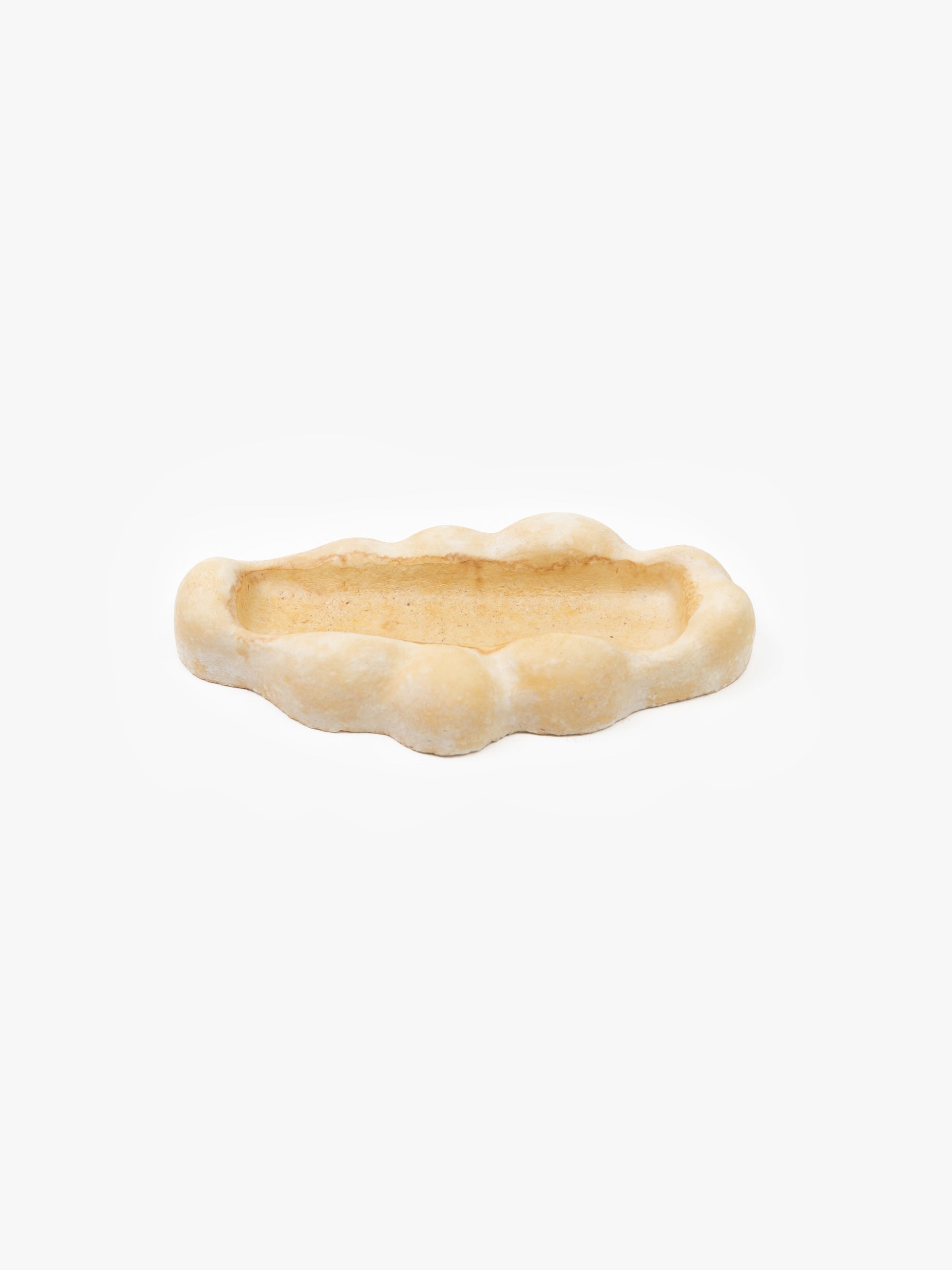 Mycelium Pencil Tray