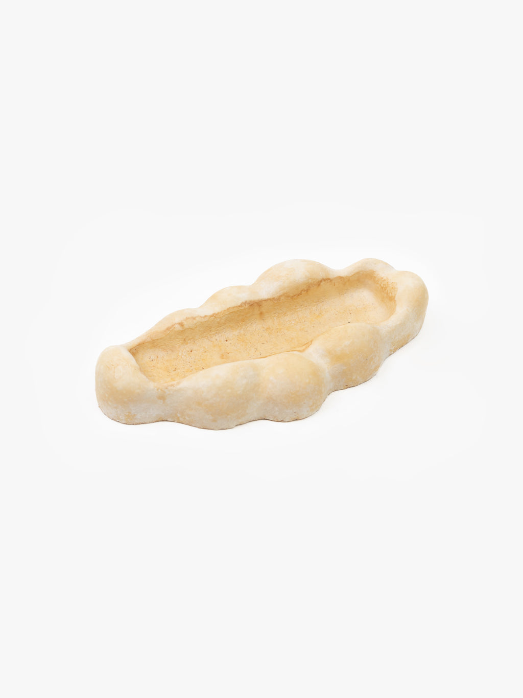 Mycelium Pencil Tray