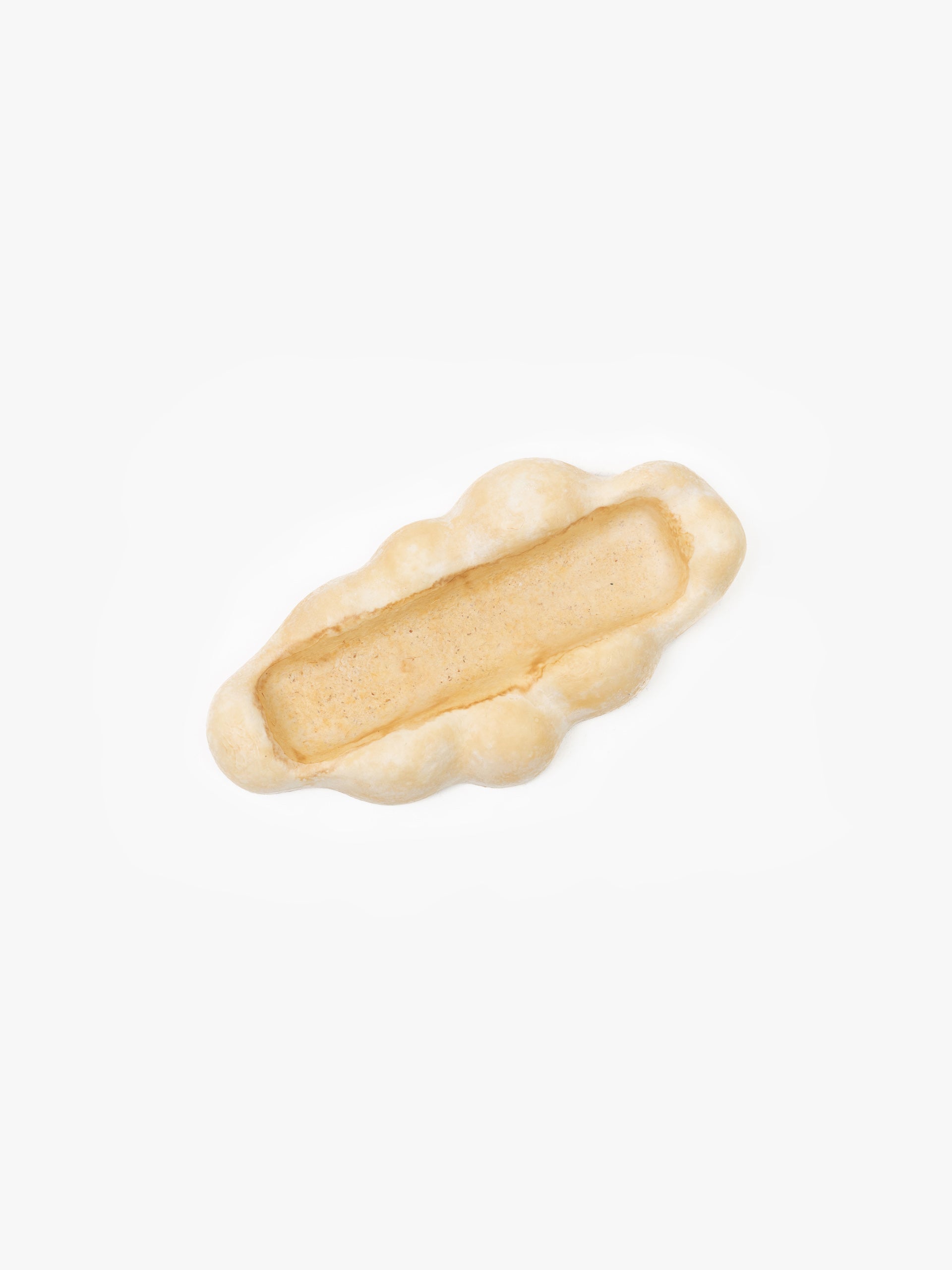 Mycelium Pencil Tray