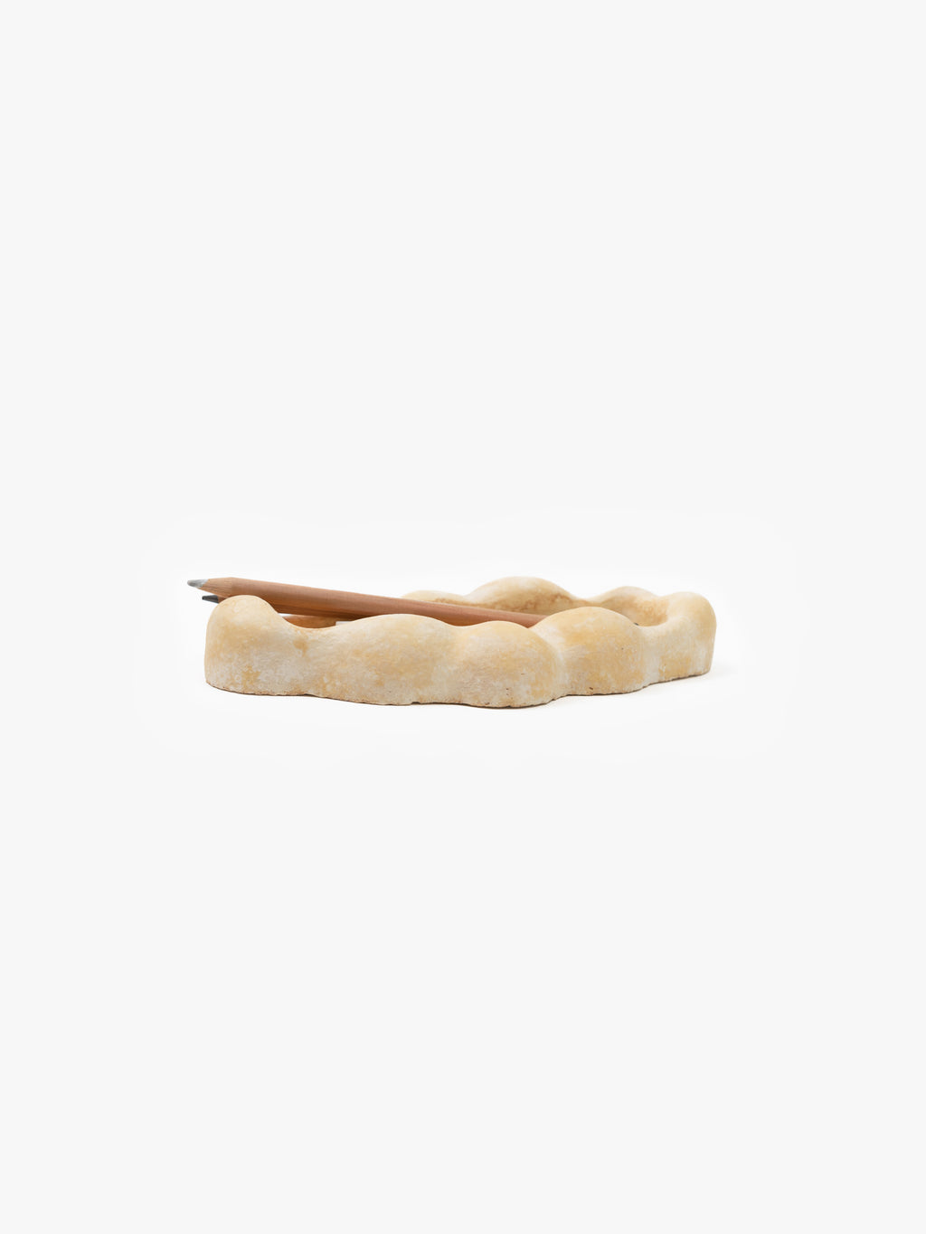 Mycelium Pencil Tray
