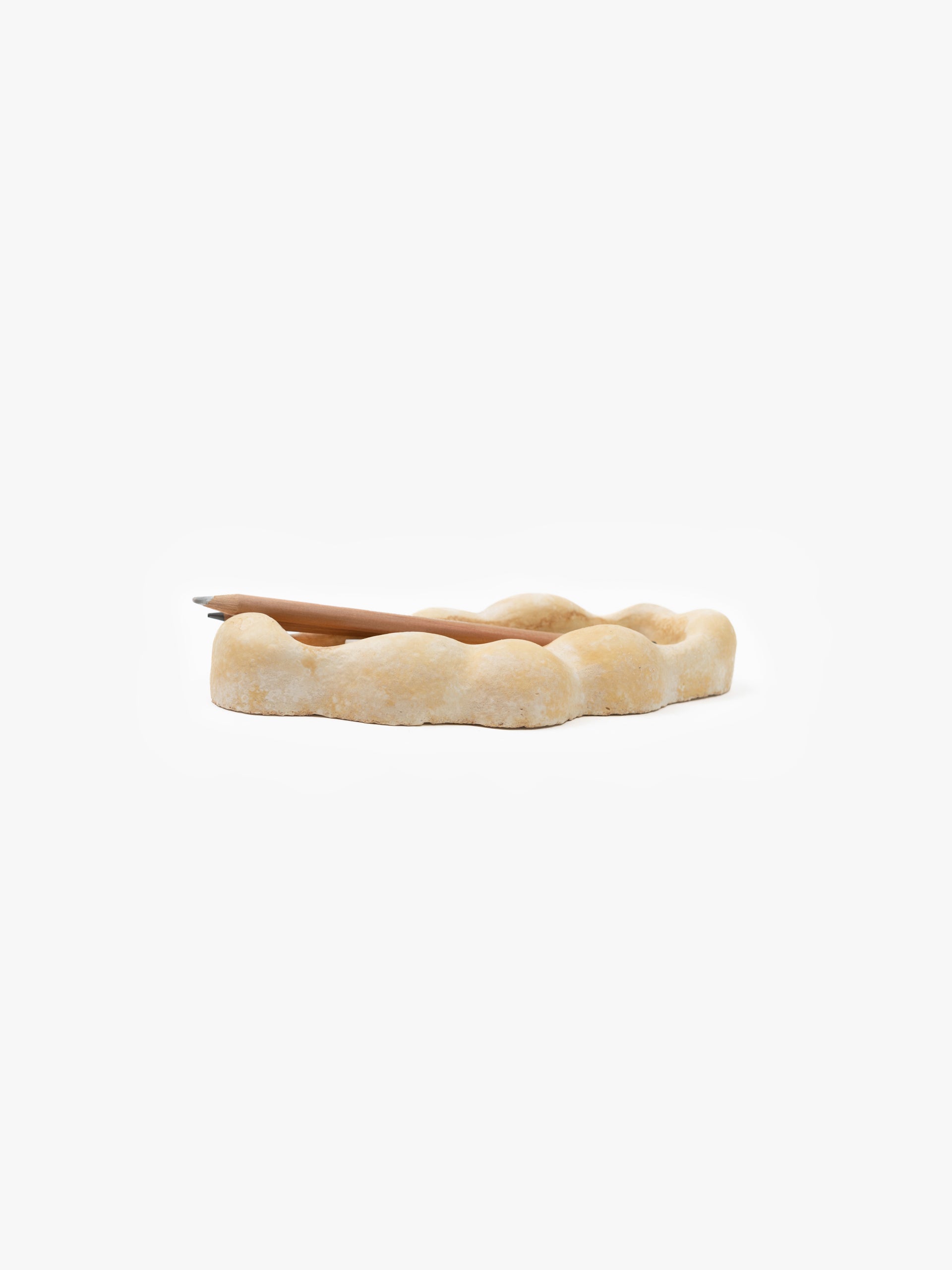 Mycelium Pencil Tray
