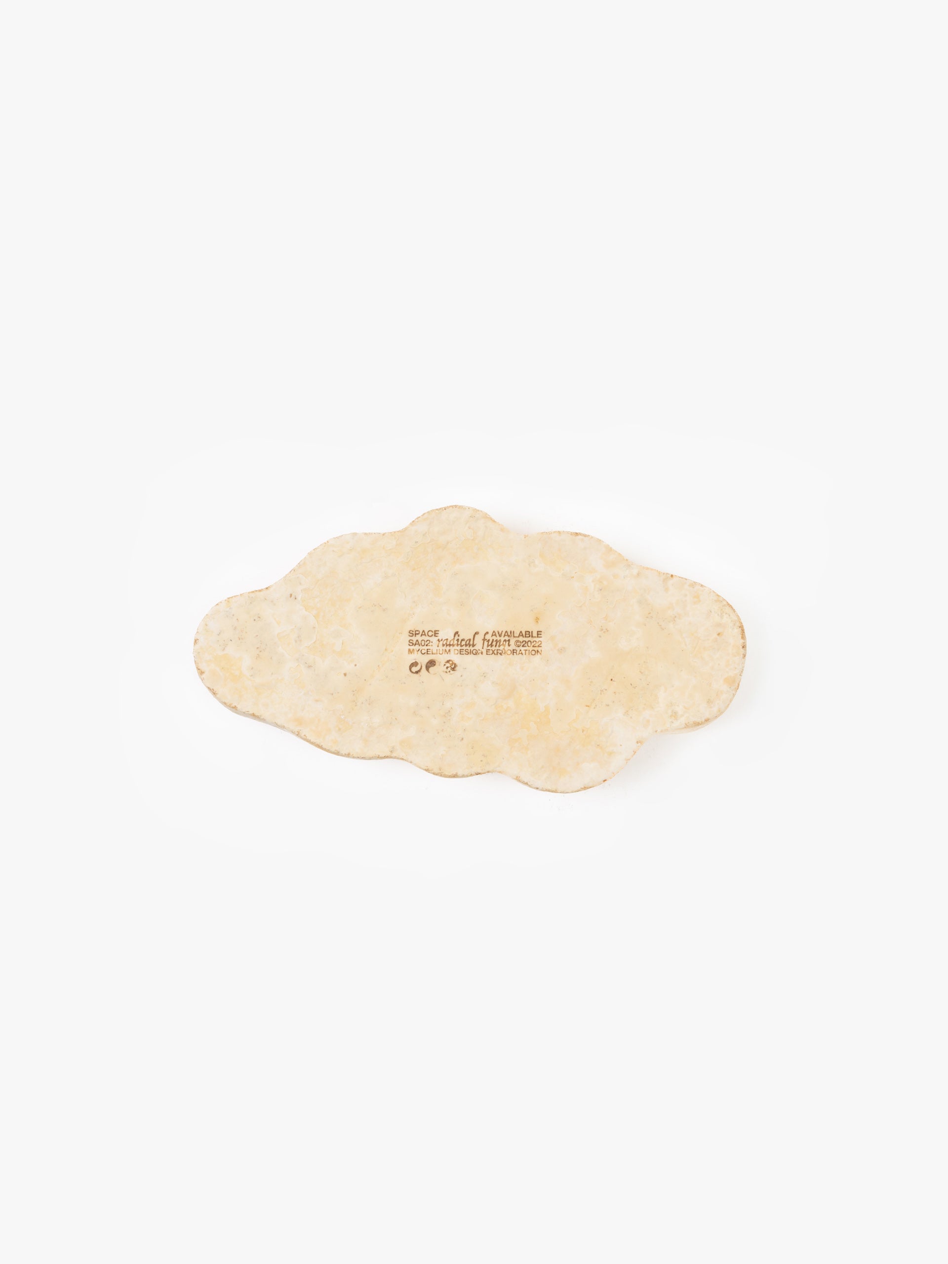 Mycelium Pencil Tray