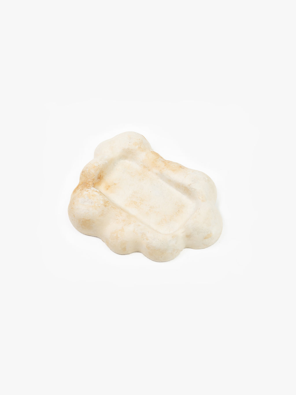 Mycelium Desk Tray