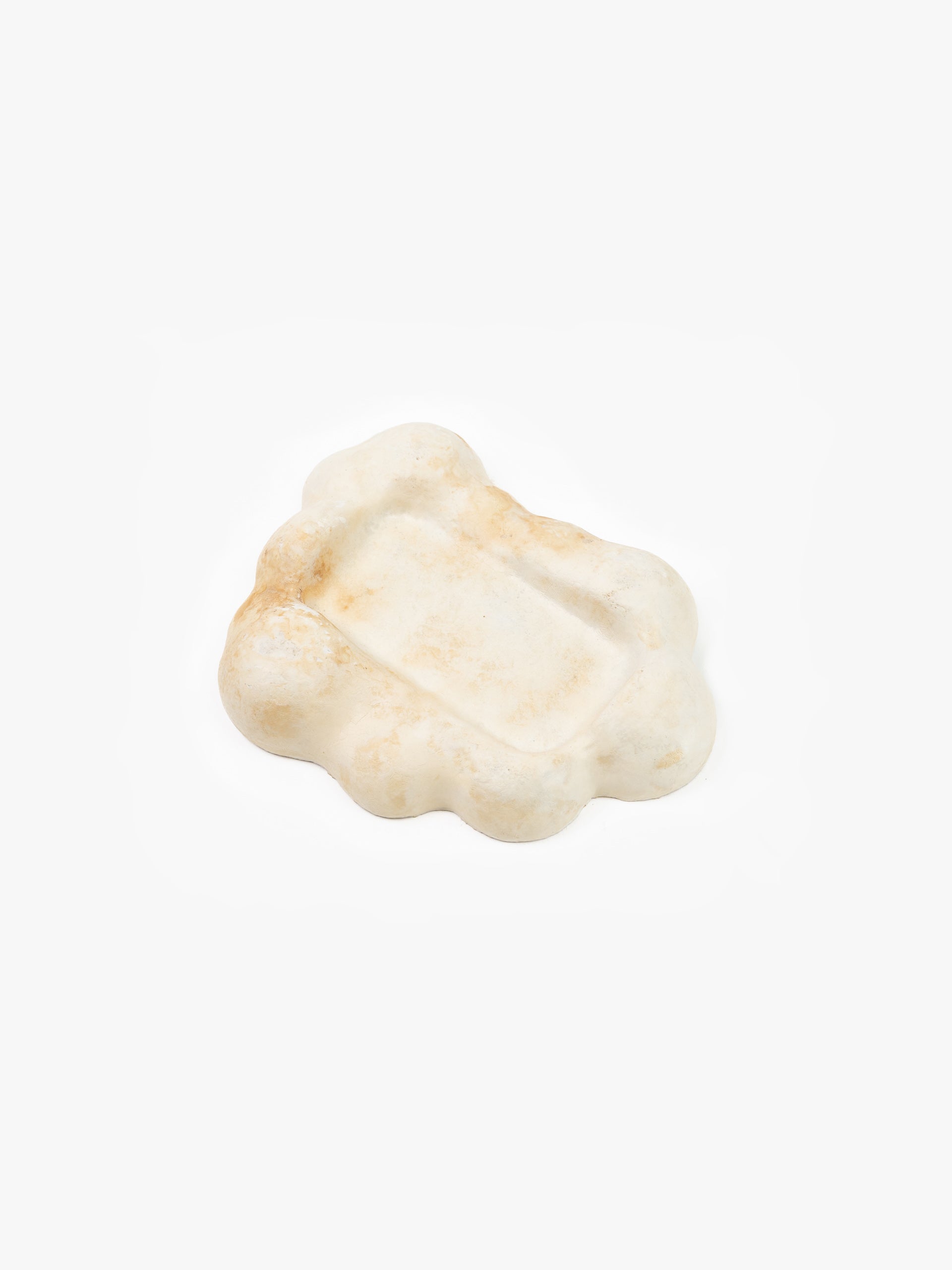 Mycelium Desk Tray
