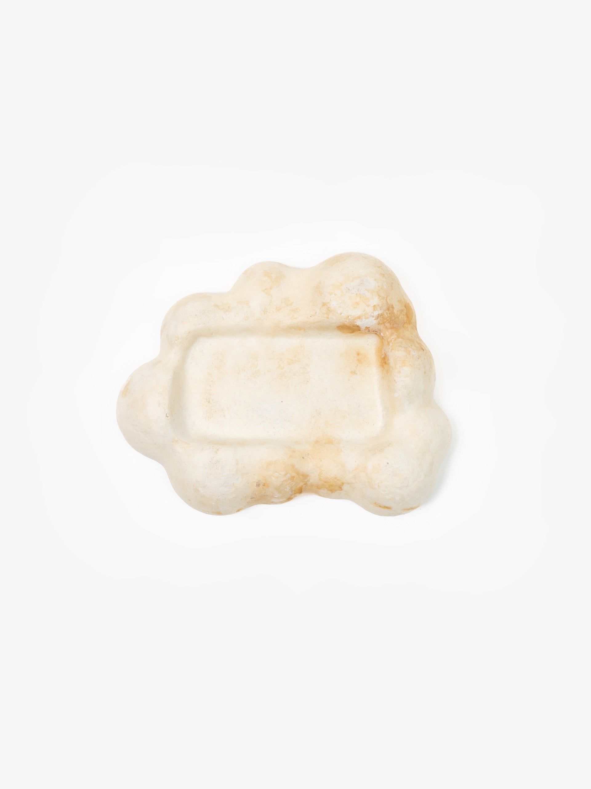 Mycelium Desk Tray