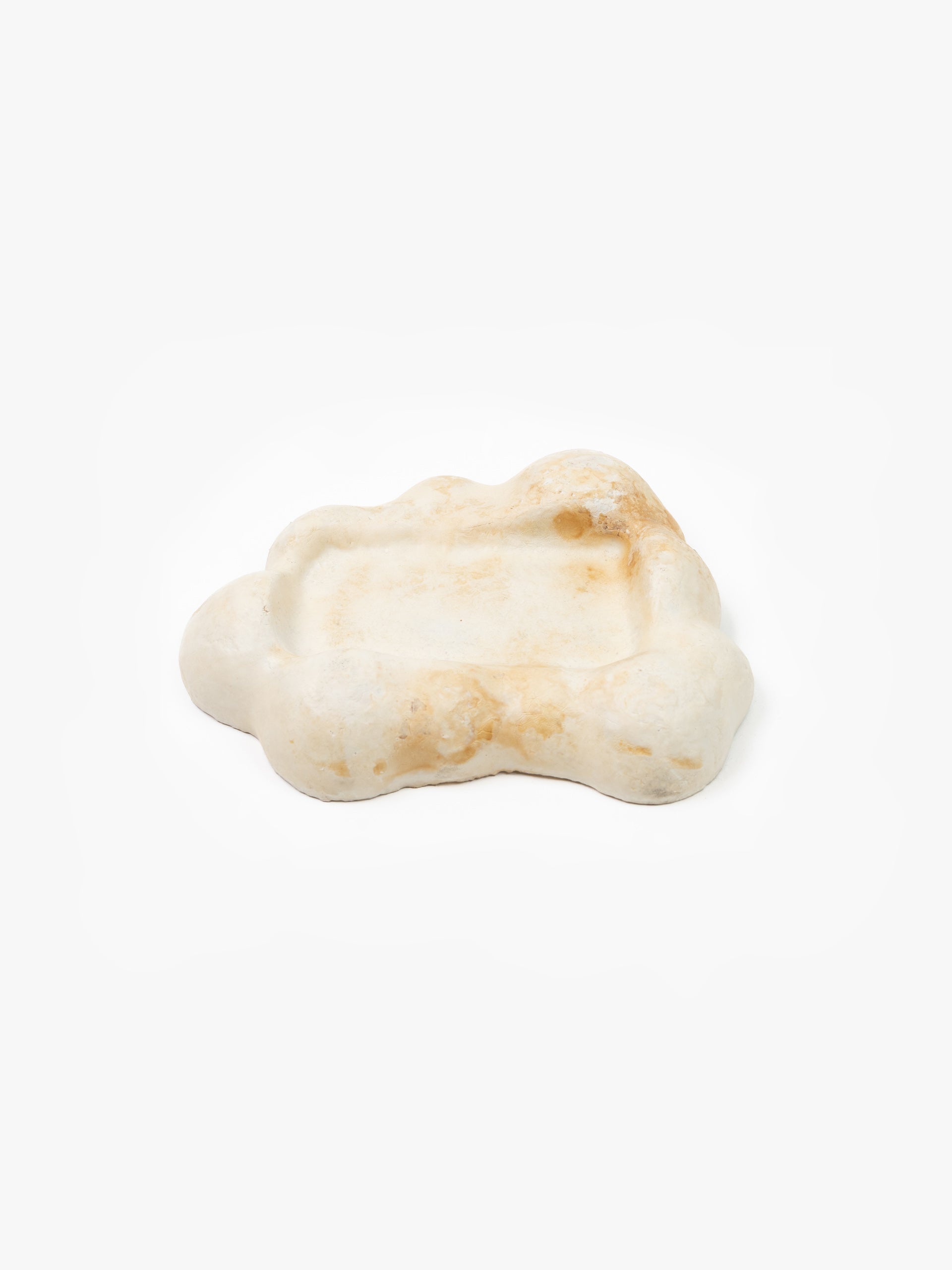Mycelium Desk Tray