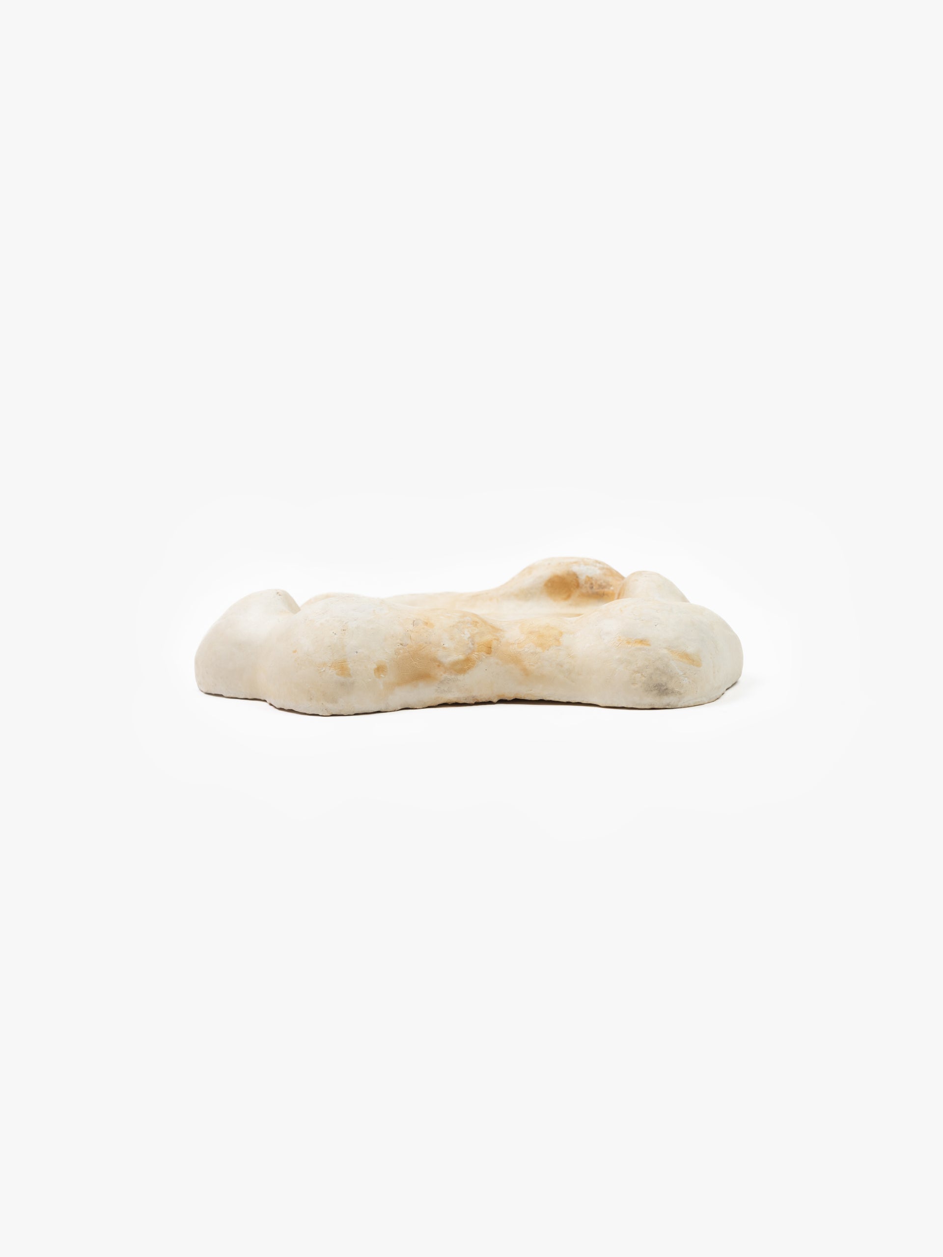 Mycelium Desk Tray