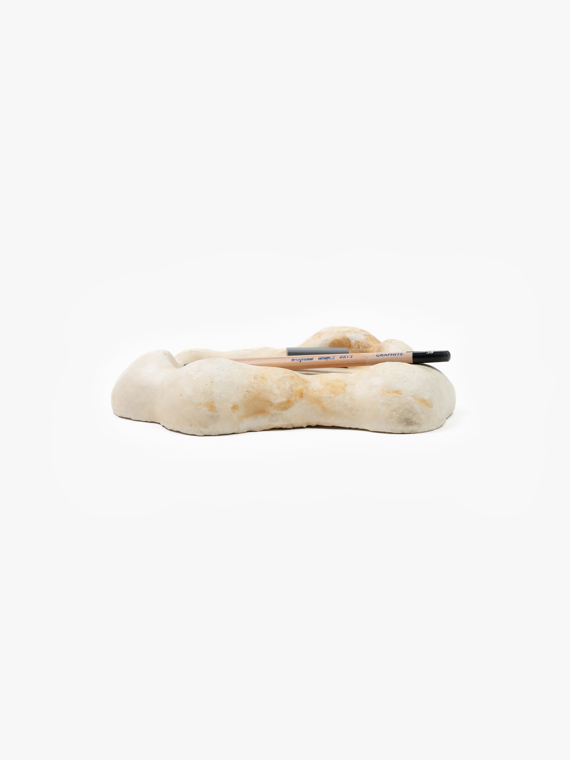 Mycelium Desk Tray