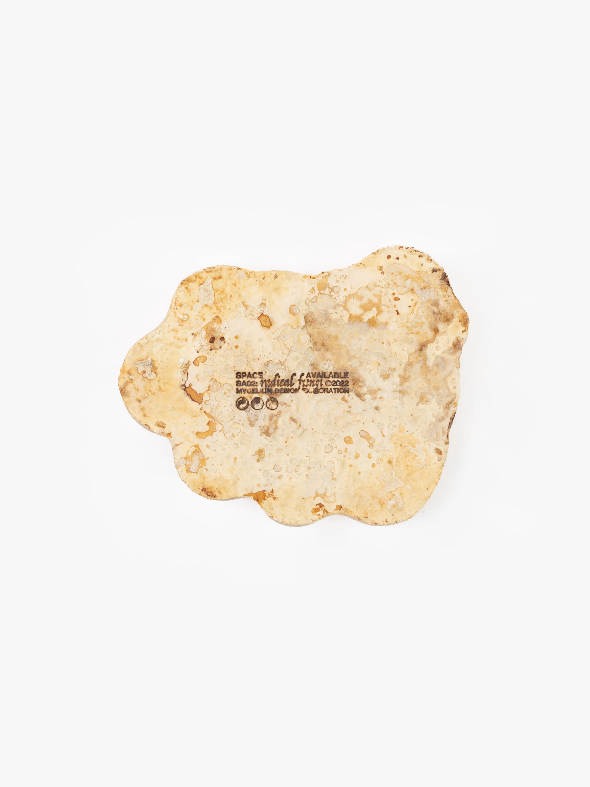 Mycelium Desk Tray